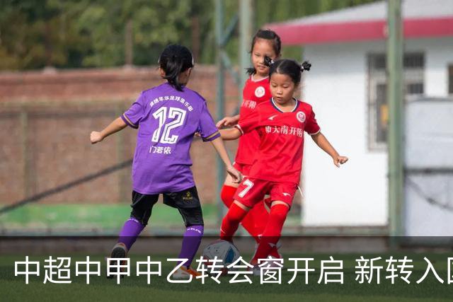 中超中甲中乙转会窗开启 新转入国内球员没有名额限制