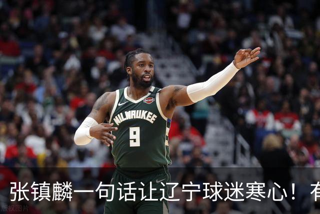 张镇麟一句话让辽宁球迷寒心！有些话不能说得太直白，耗子尾汁吧
